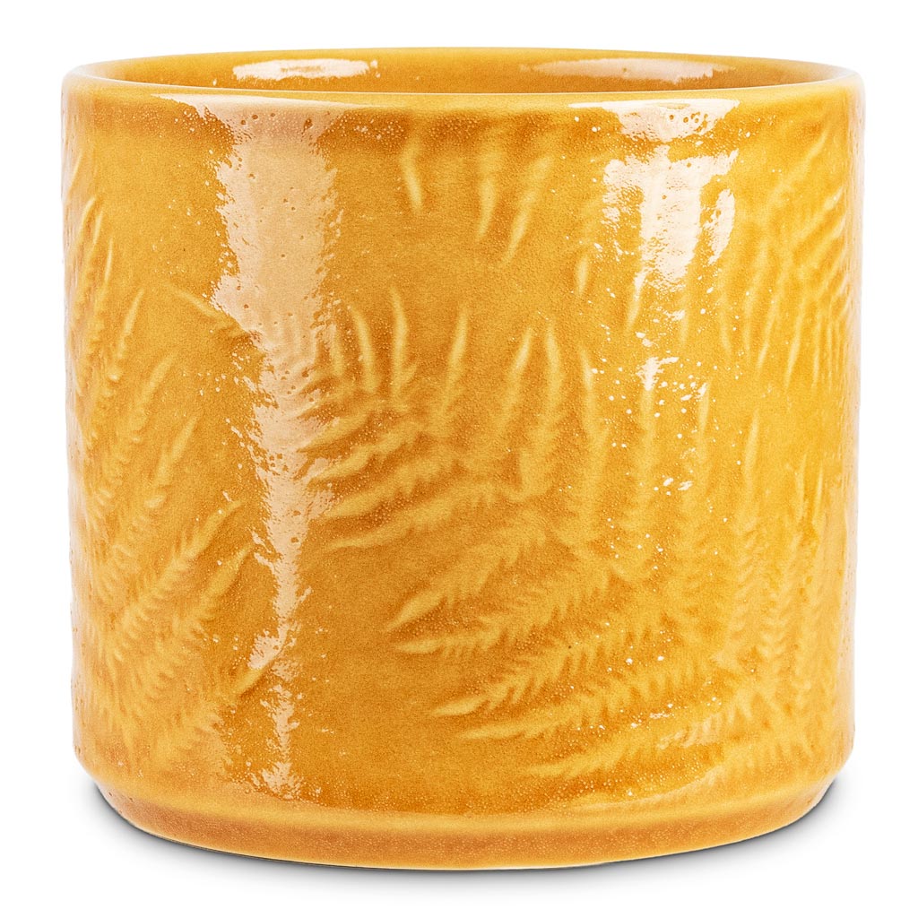 Orla Fern Pot Mustard 15.5x14cm pot
