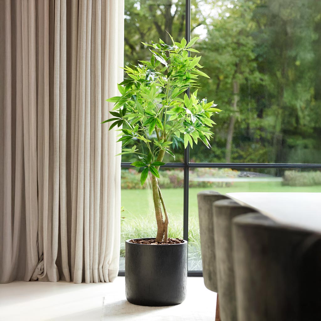 Pachira Tree Artificial In Baq Raindrop Anthracite