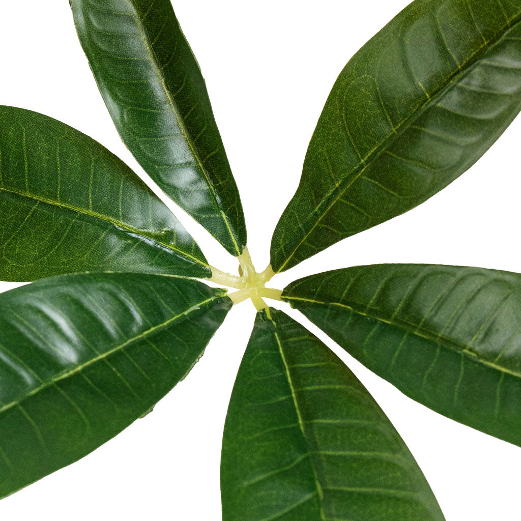 Pachira aquatica Braided Money Tree Artificial Close Up 