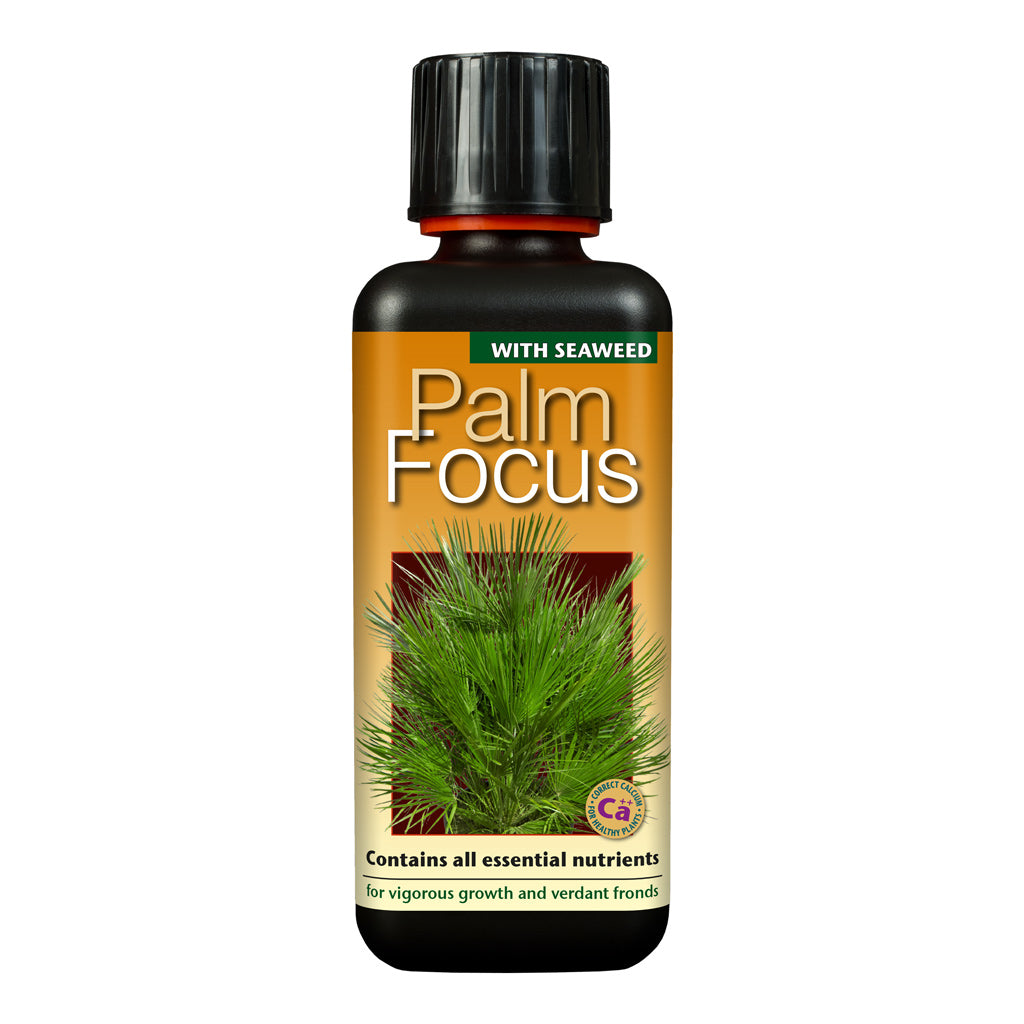 Palm Focus - Plant Nutrition - 100ml