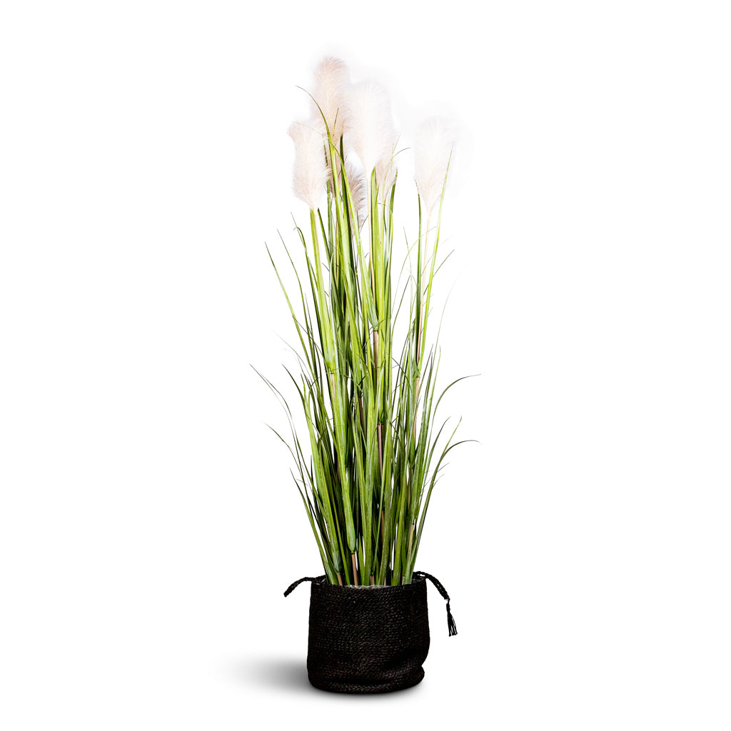 Pampas Grass Potted Artificial 160cm (7 stems) House Plant In Stefan Basket Black 30x26cm