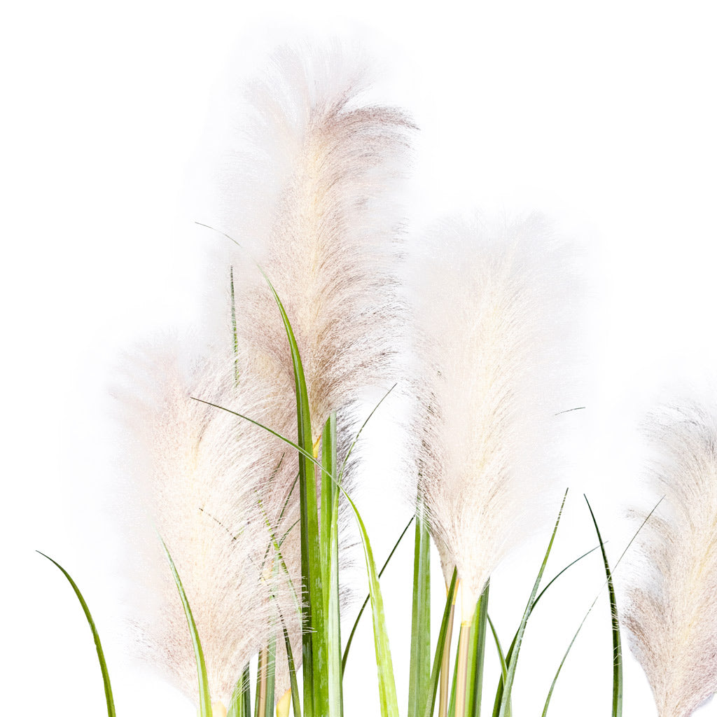 Pampas Grass Potted Artificial Close up