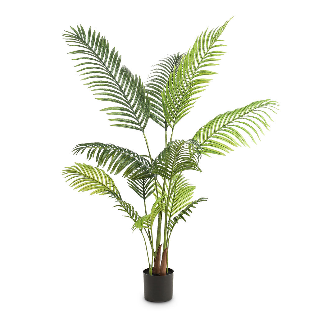 Paradise Palm - Artificial - 140cm