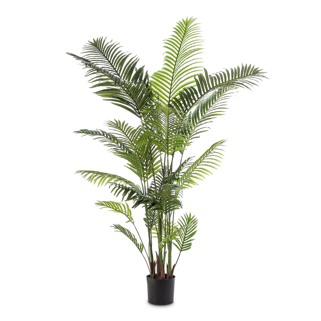 Paradise Palm Artificial - 200cm