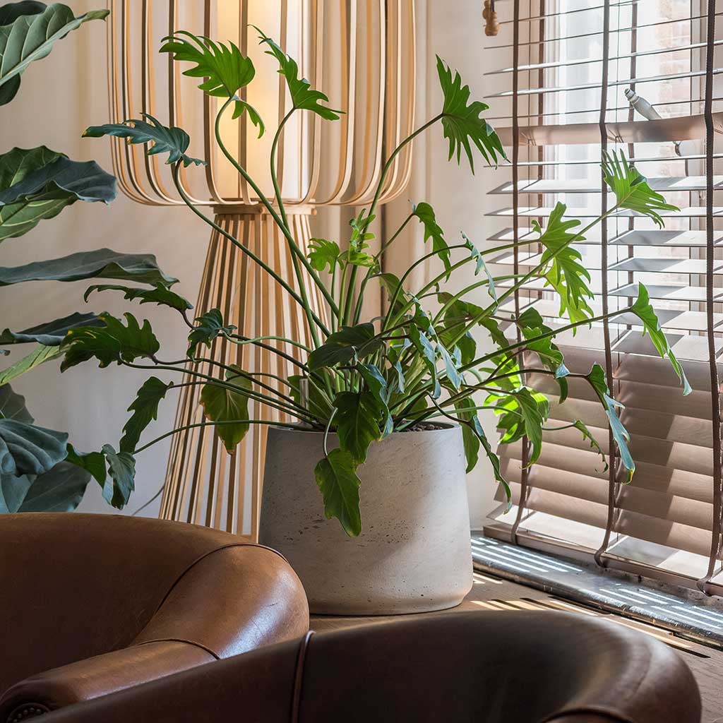 Rough Patt Planter Grey Washed