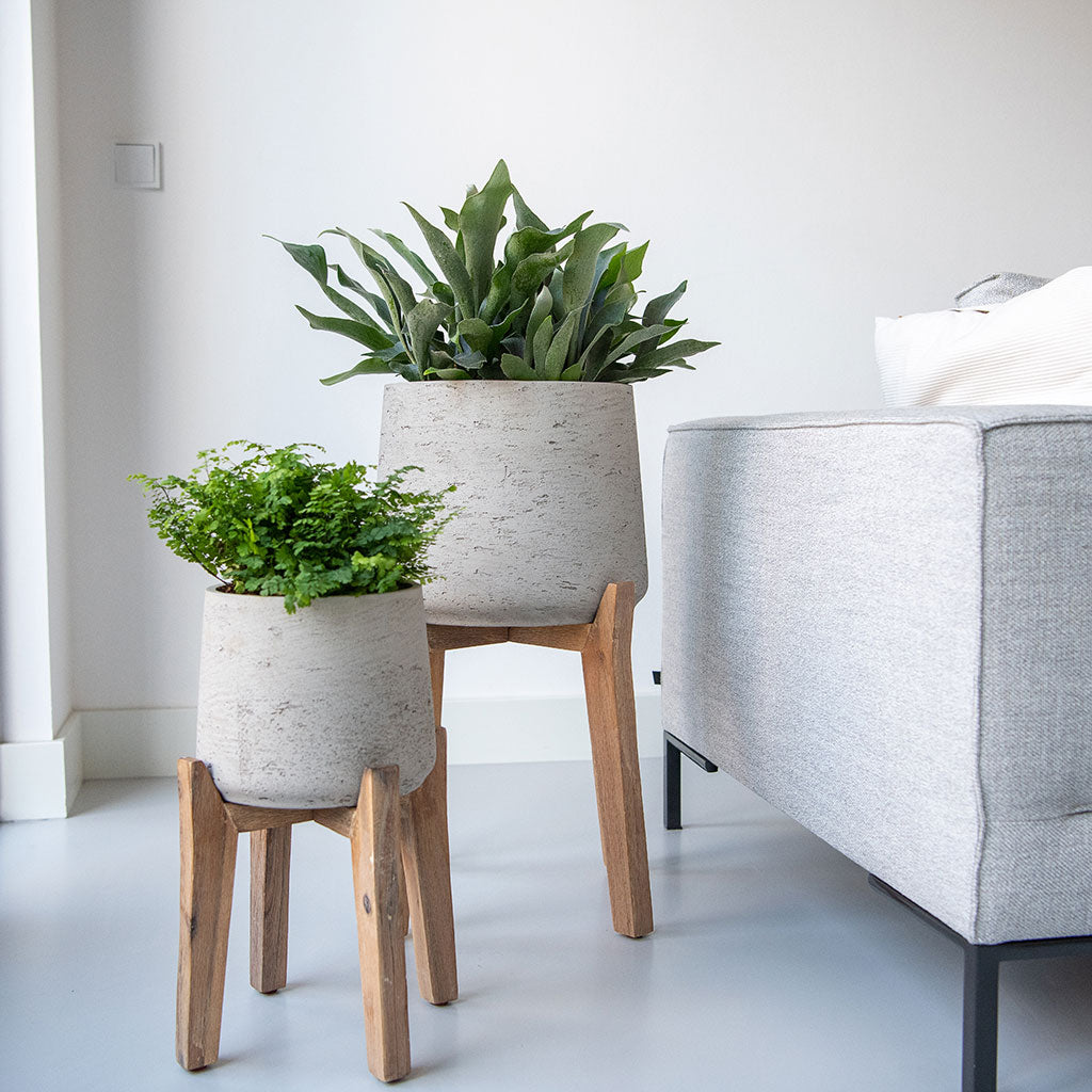 Rough Patt Planters & Plant Stands
