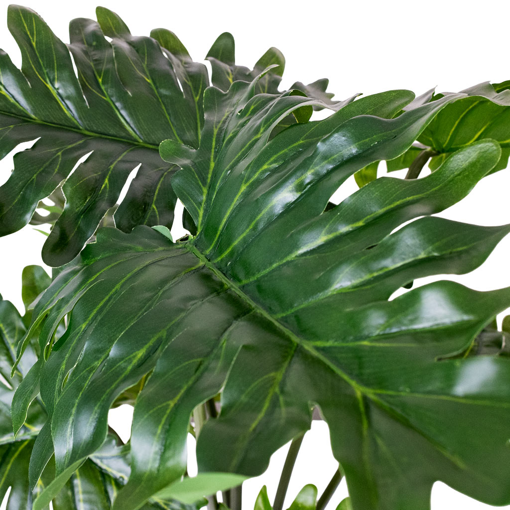 Philodendron Potted Artificial 60cmHouse Plant in Orla Fern Pot Emerald 17.5x16.5cm