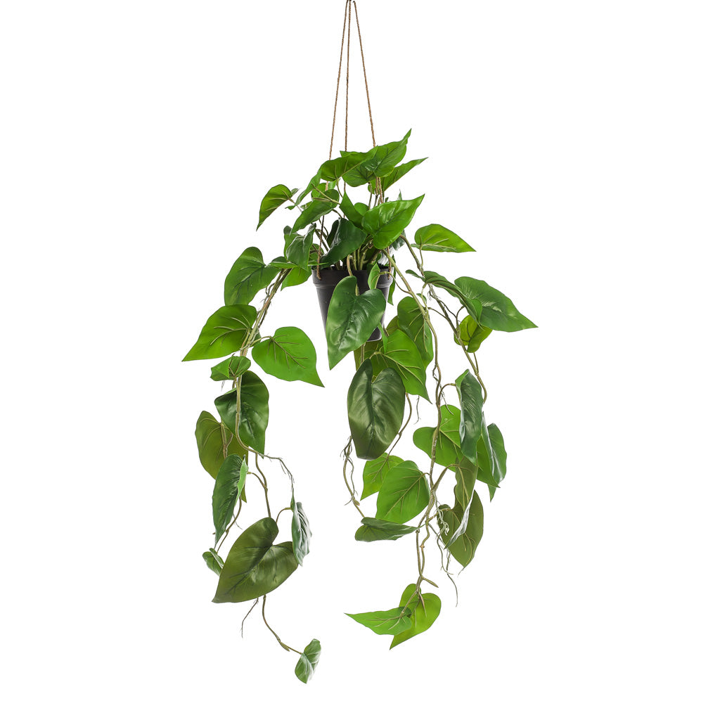 Philodendron Scandens Hanging Artificial - 80cm in Pot 100cm