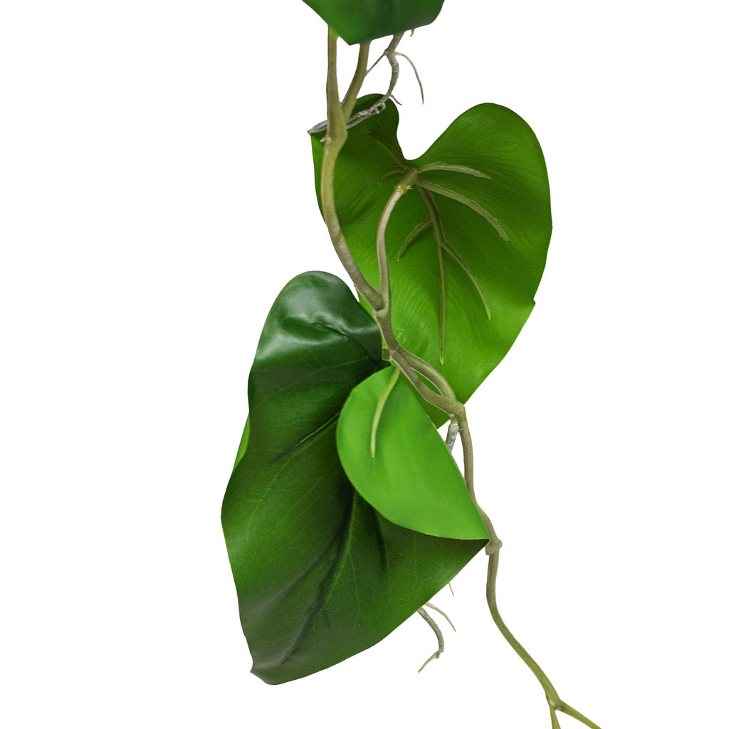 Philodendron scandens Sweetheart Plant Artificial Close Up Of Trailing Leaf 