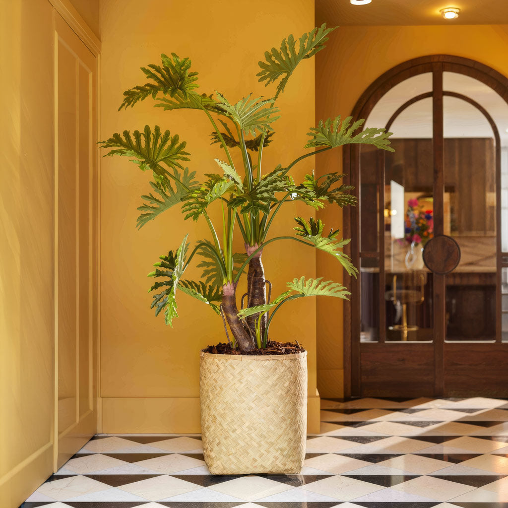 Philodendron selloum Potted Artificial 180cm Lifestyle