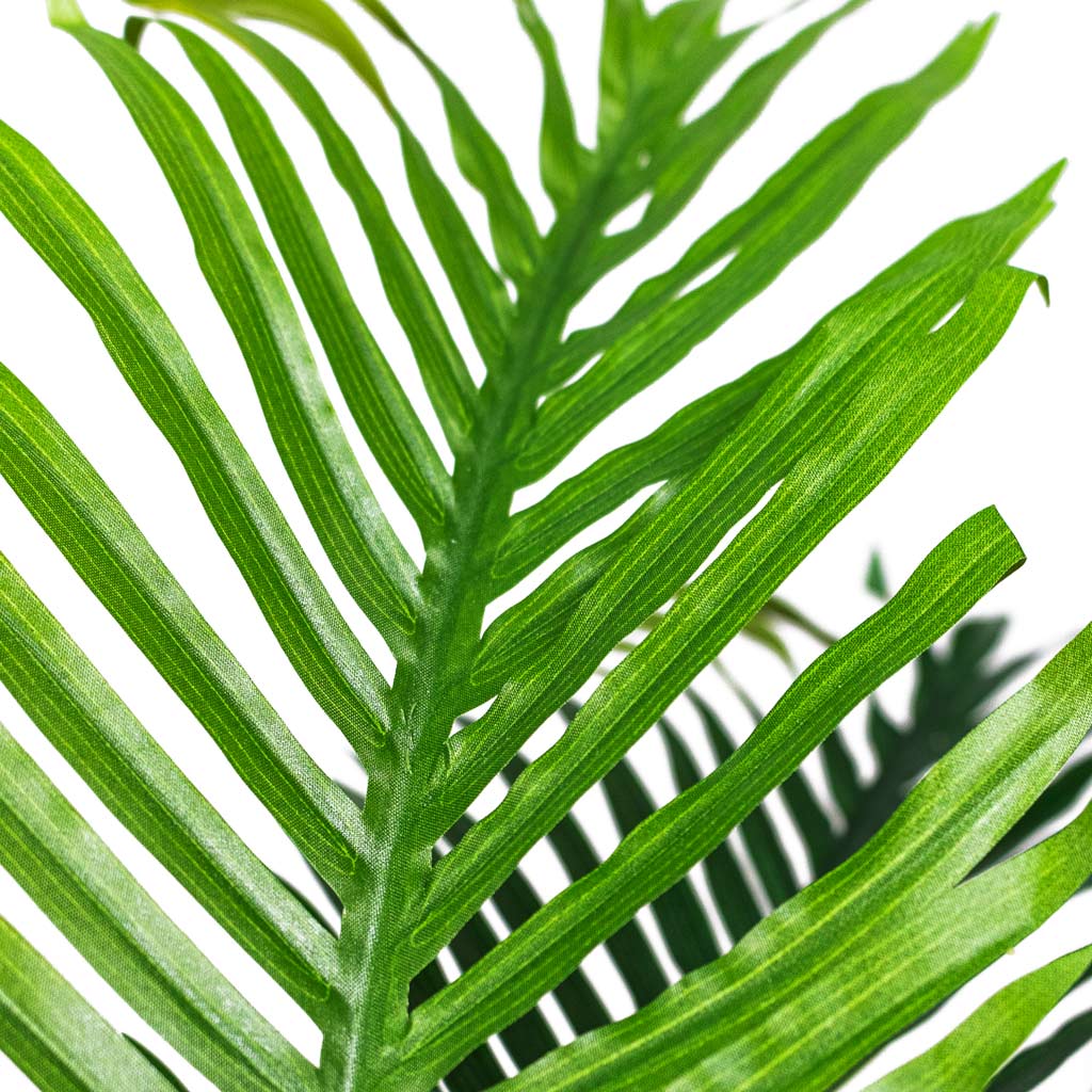 Phoenix Palm Canary Island Data Palm Artificial Leaf CLose Up 