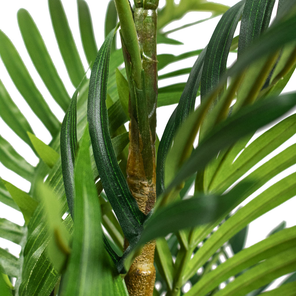 Phoenix Palm Canary Island Data Palm Artificial Close Up Of Leaf