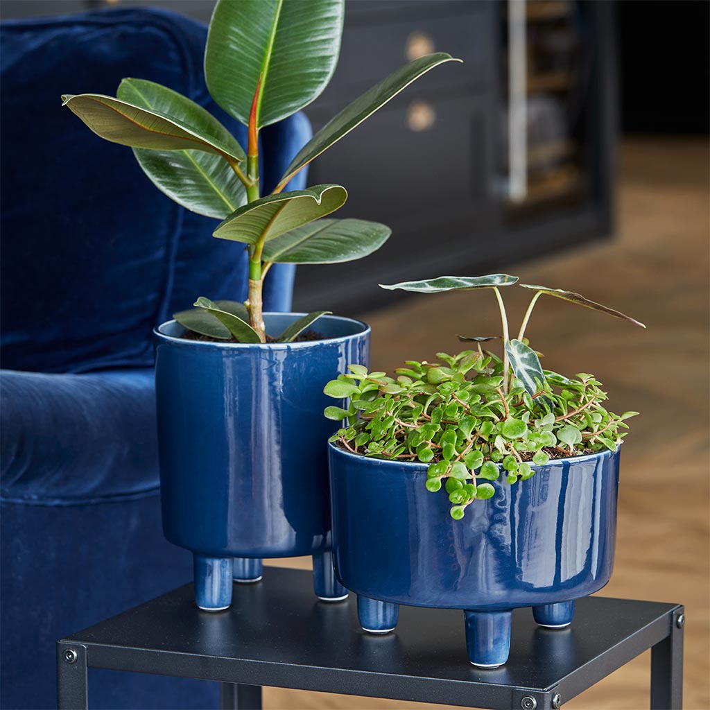 Pisa Plant Pot - Navy & Bowl