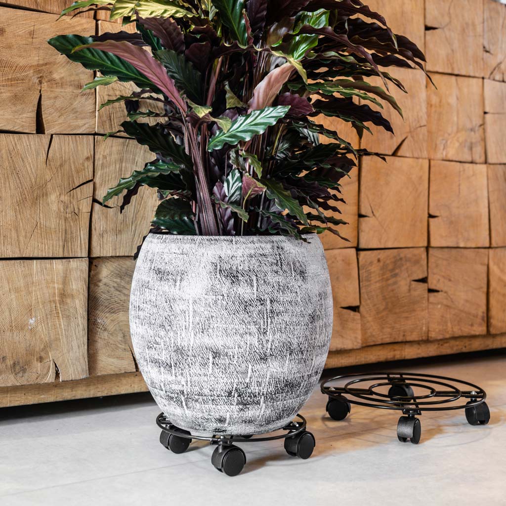 Plant Pot Trolley Black - 26x6cm