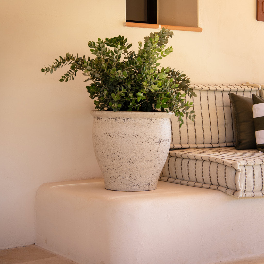 Poseidon Mediterranean Planter In Chalk White 