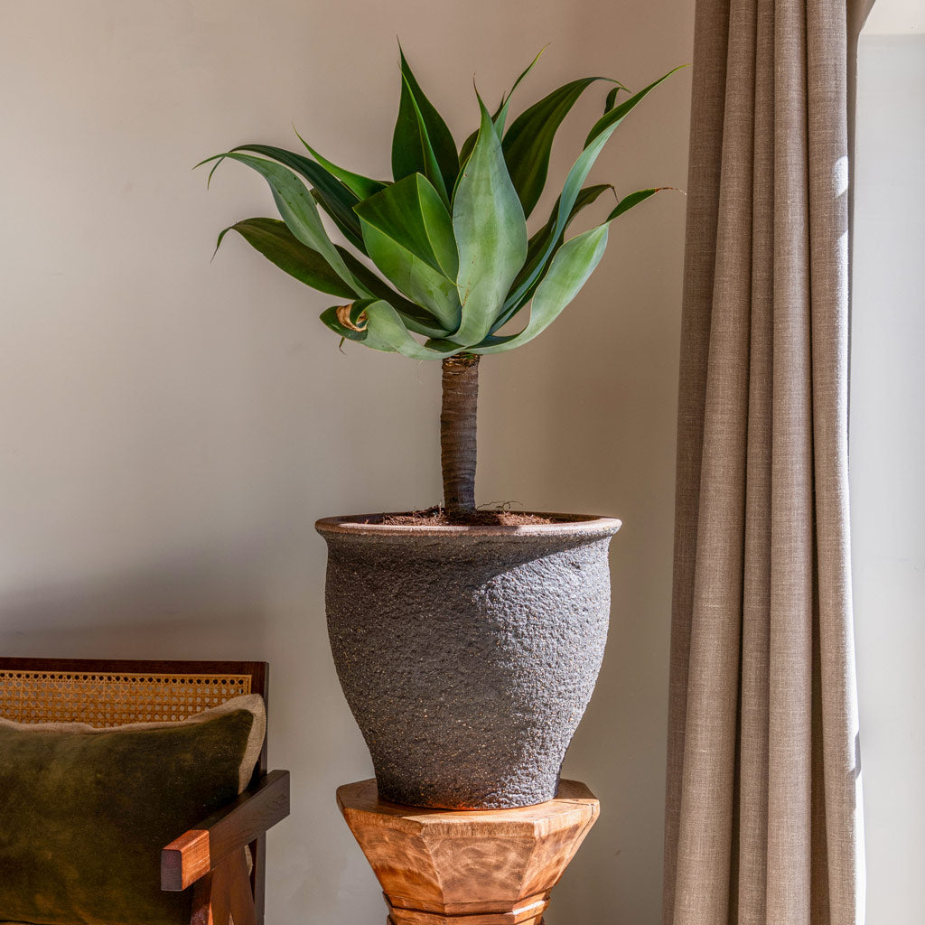Poseidon Mediterranean Planter Umber Brown 52x47cm