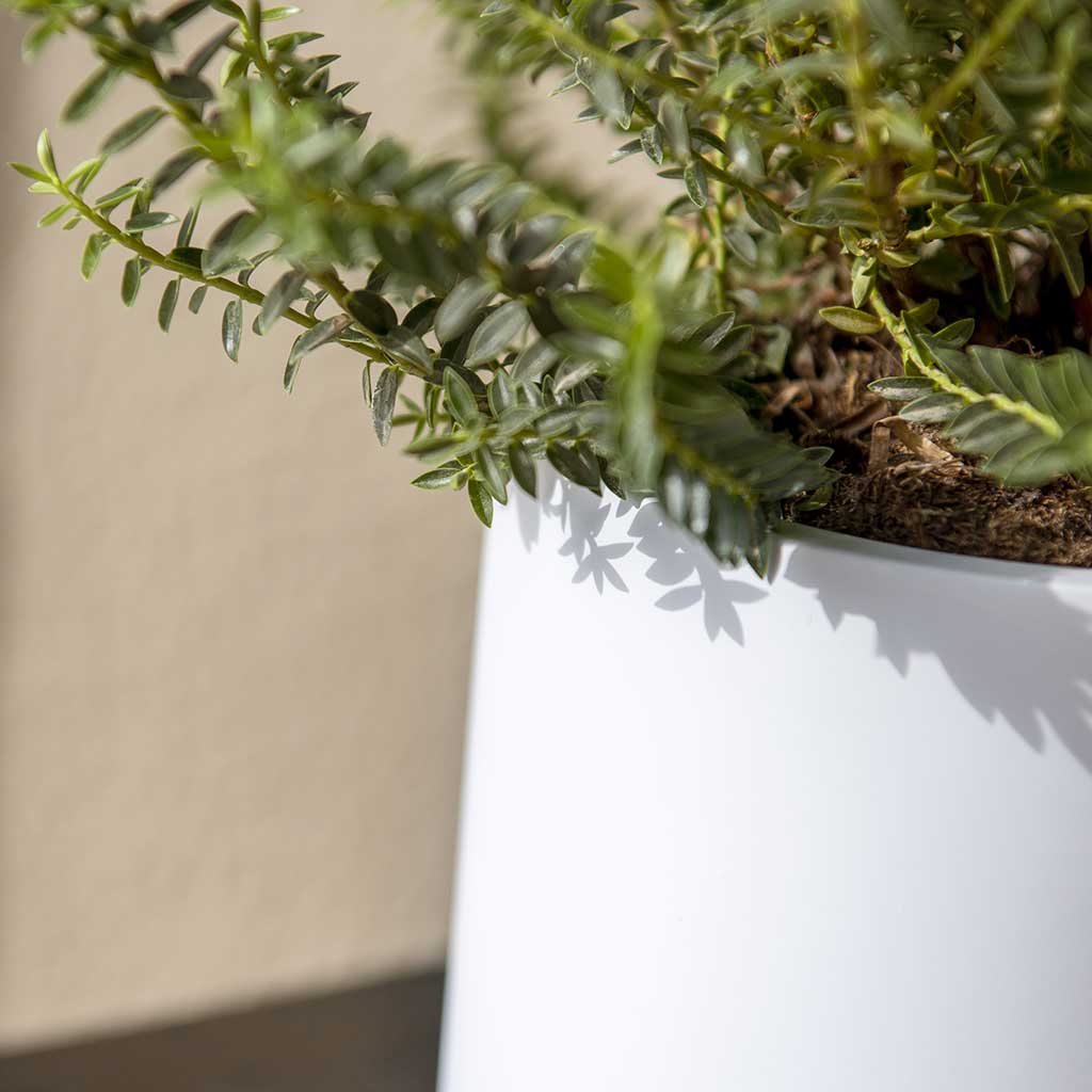 Puk Planter Matt White Close Up