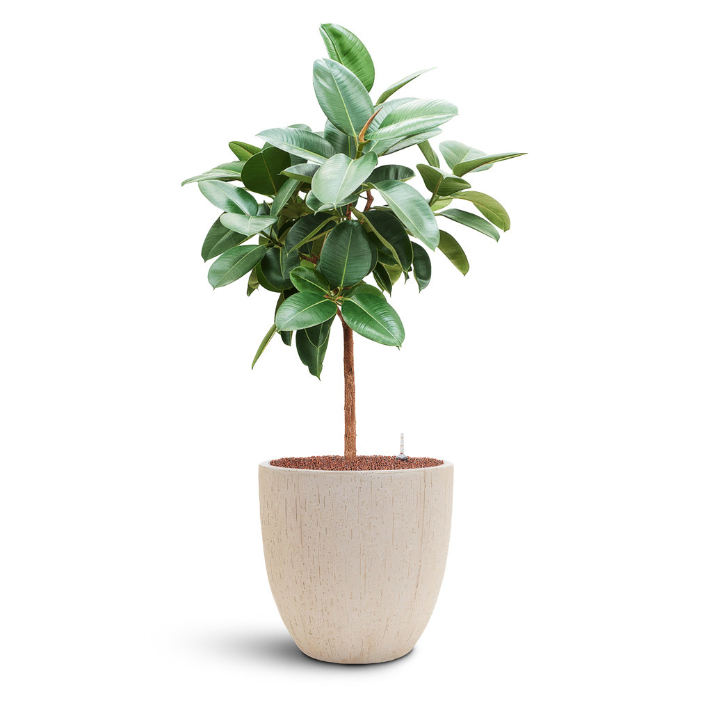Raindrop Egg Planter - Large Plant Display