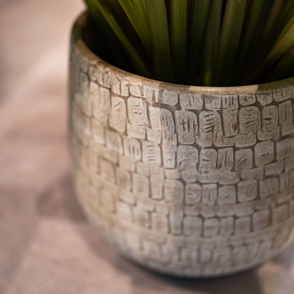 Renzo Sand Plant Pot Close Up 