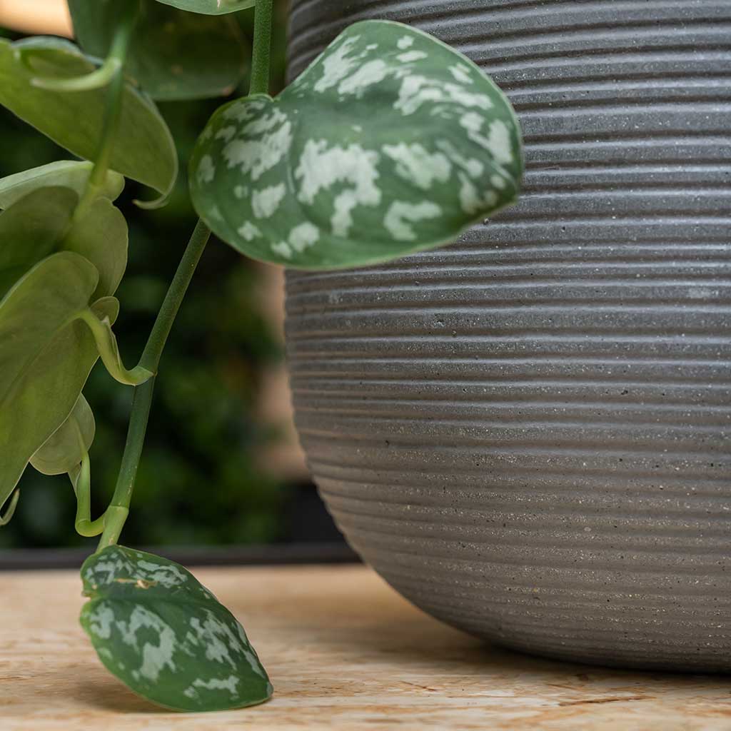 Ridged Cody Planter Dark Grey Textures