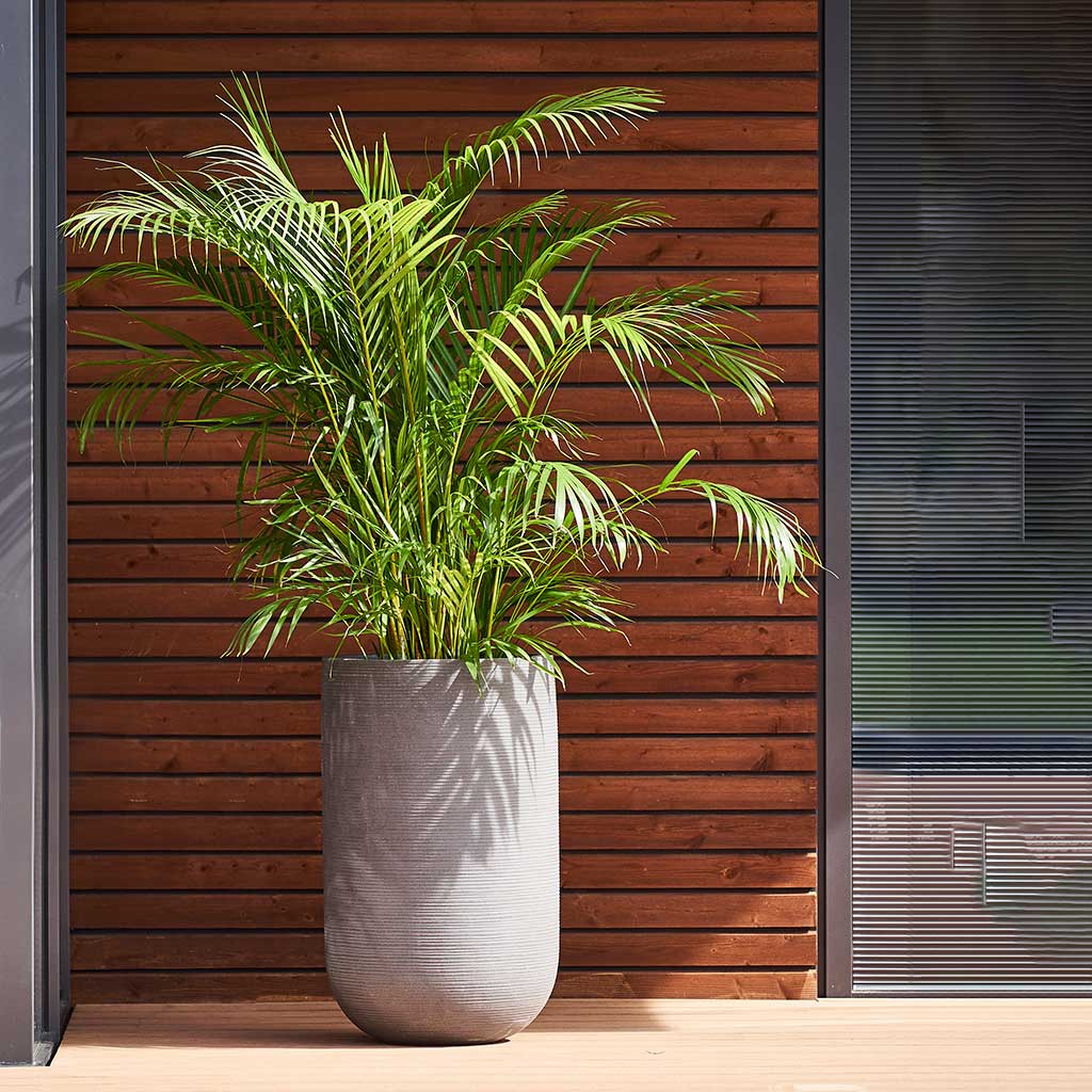 Ridged Cody Tall Planter Cement