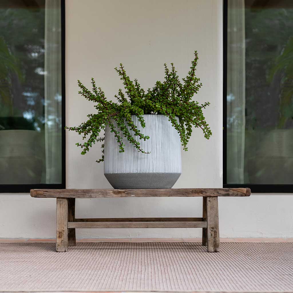 Ridged Harith Plant Pot - White Stripe - Large Outdoor Planter