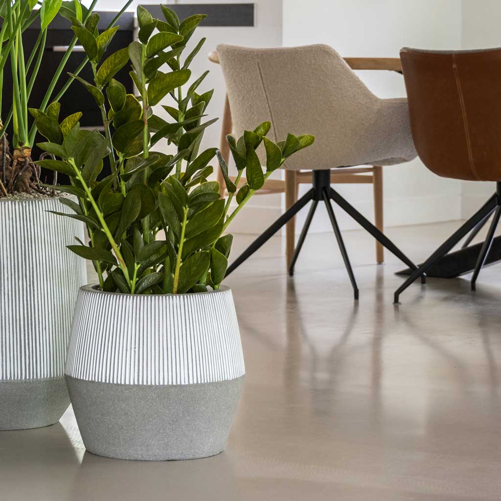 Ridged Harley Plant Pot - White Stripe & ZZ Plant