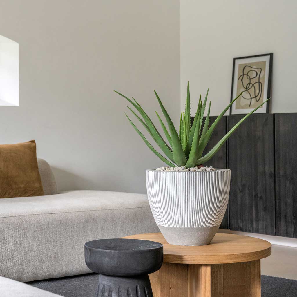 Ridged Jesslyn Plant Pot - White Stripe & Aloe