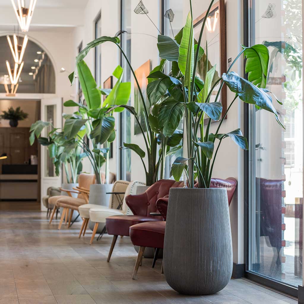 Ridged Patt High Planter Dark Grey
