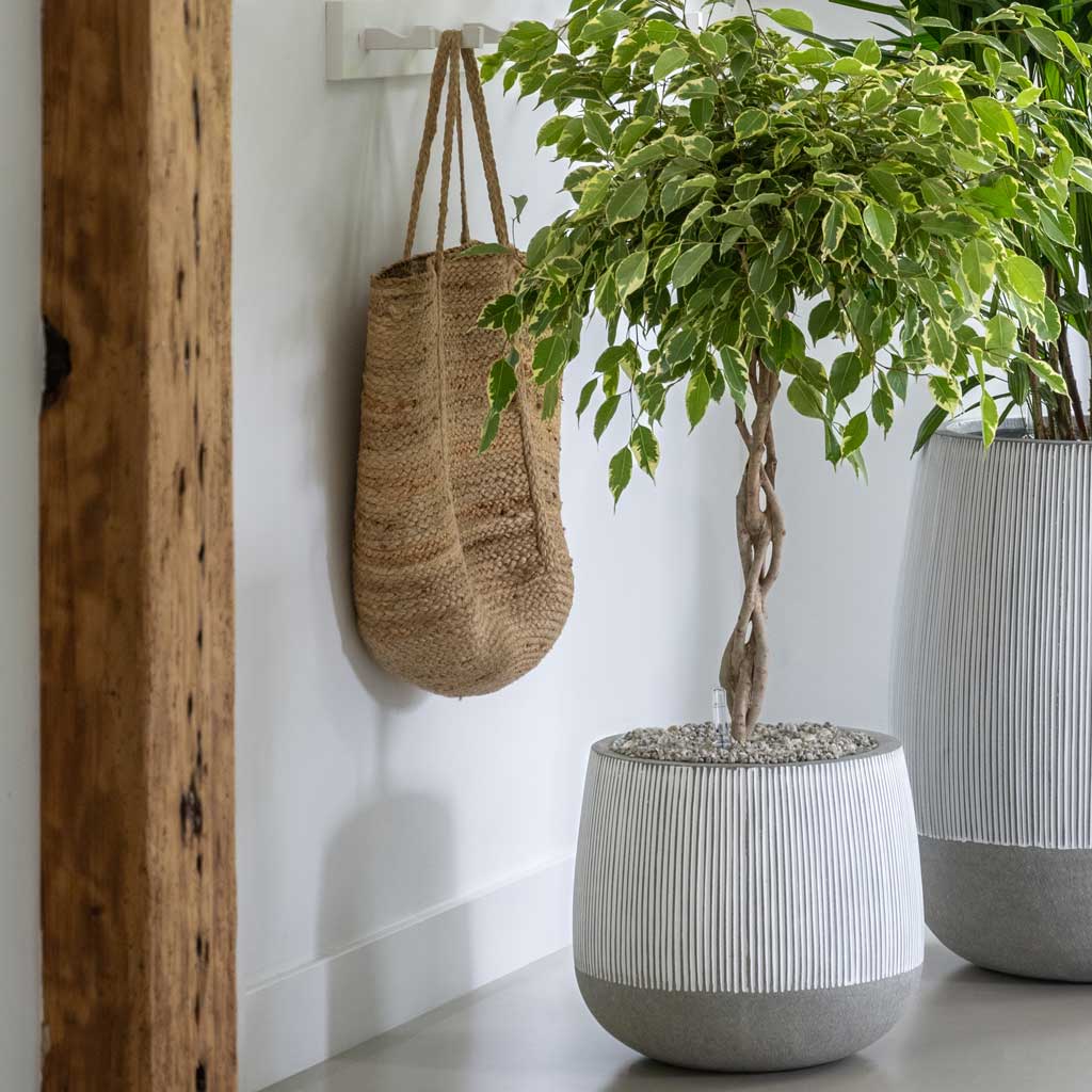 Ridged Pax Plant Pot - White Stripe