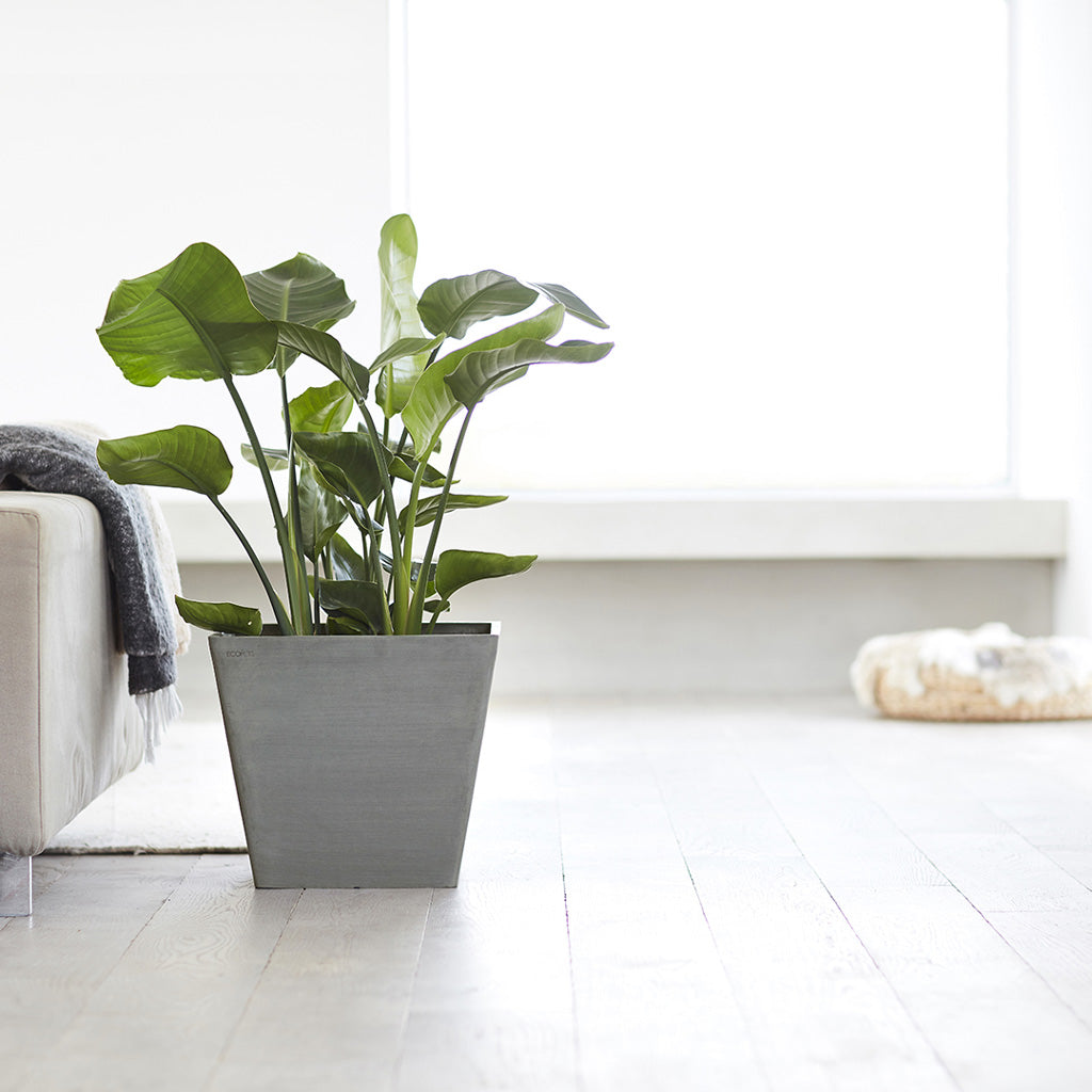 Rotterdam Cube Planter Grey 20x20x18cm