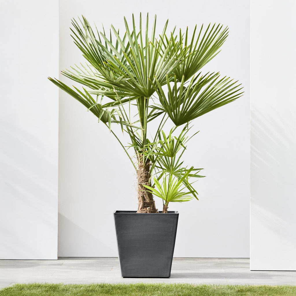 EcoPots Rotterdam - Slate - Recycled Planter XL