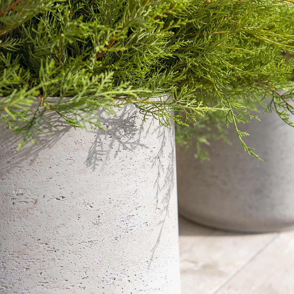 Rough Patt Planters Textures
