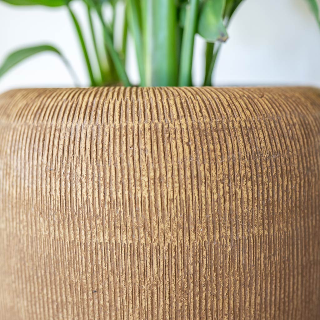 Roxan Pot Camel Close Up