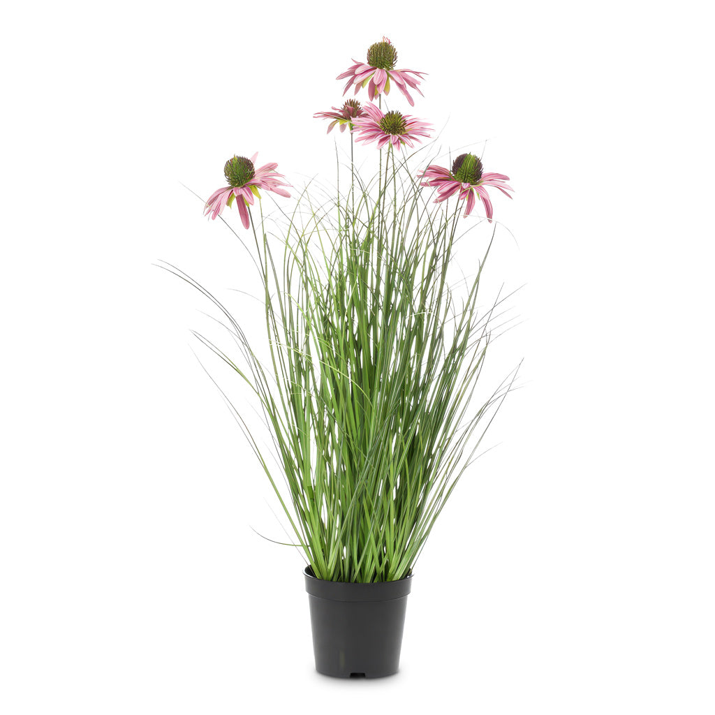 Rudbeckia Grass Purple Potted Artificial 60cm House Plant In Babet Pot Pine 14x12cm