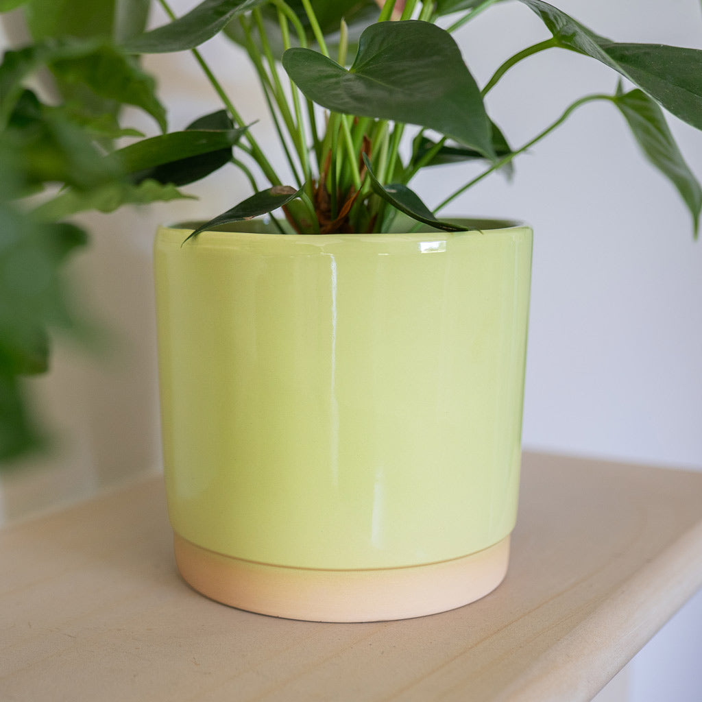 Saske Pot Pastel Green Close Up