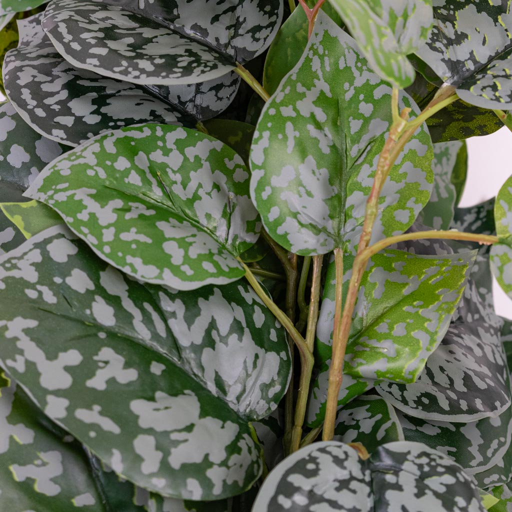 Satin Pothos Hanging Bush Artificial Close up