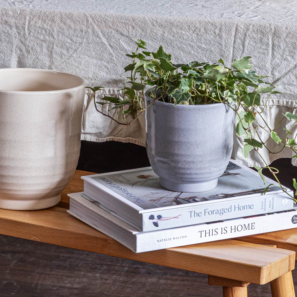 Hedera Helix In Sofia Planter Grey
