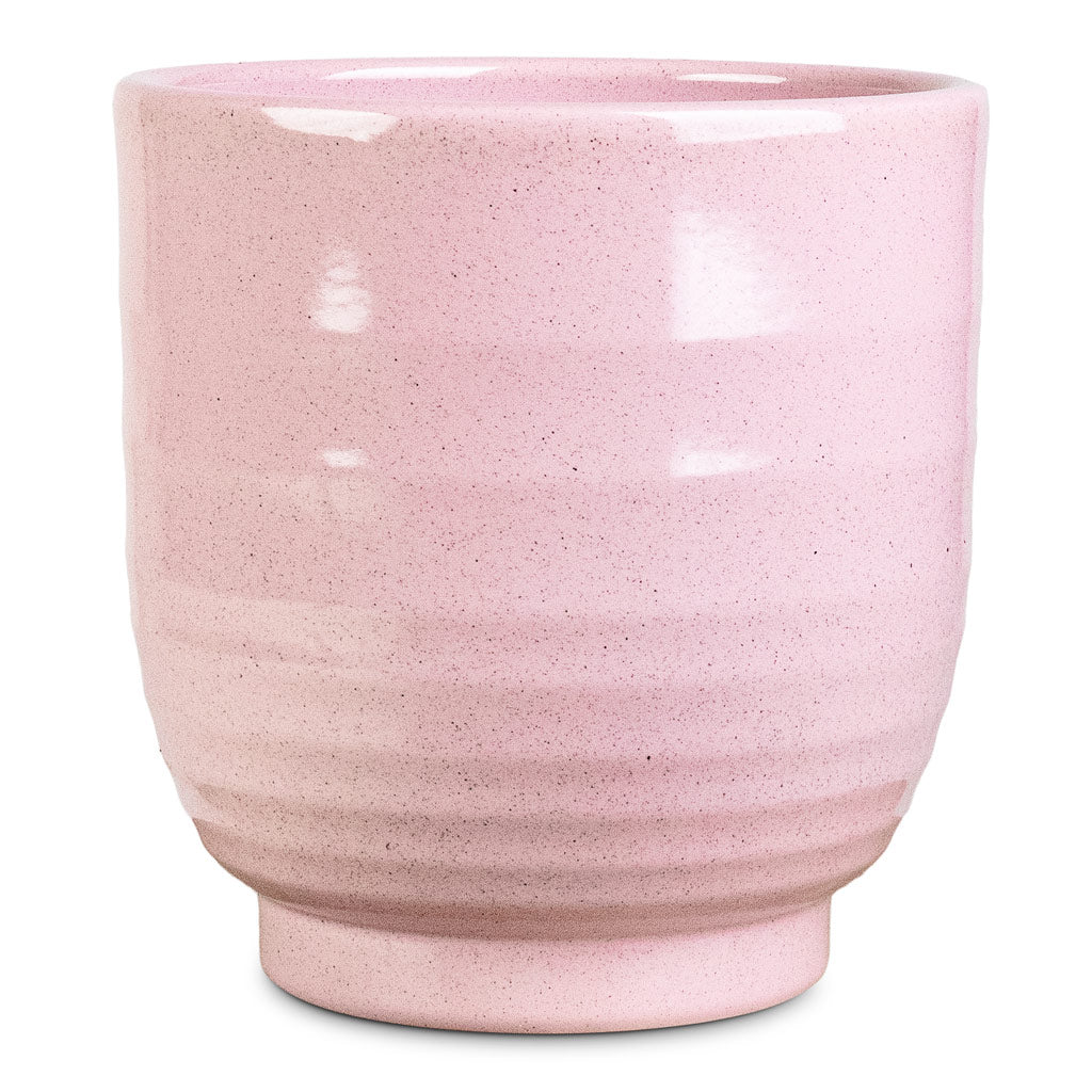 Sofia Pot Rose - 14x14cm