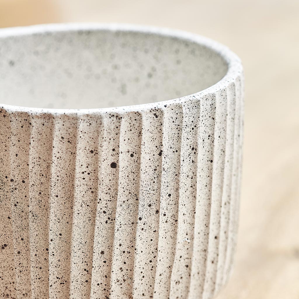 Solento Plant Pot - White Speckle Rim