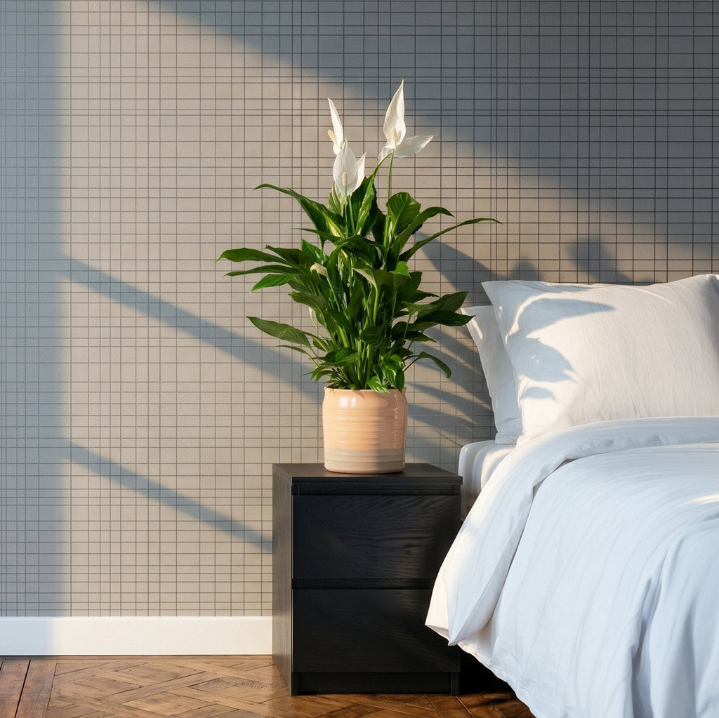 Spathiphyllum Vivaldi Peace Lily 17x70cm house plant in Puro Ripple Plant Pot Peach 21x19cm Lifestyle
