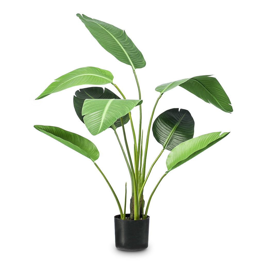 Strelitzia Artificial - 120cm
