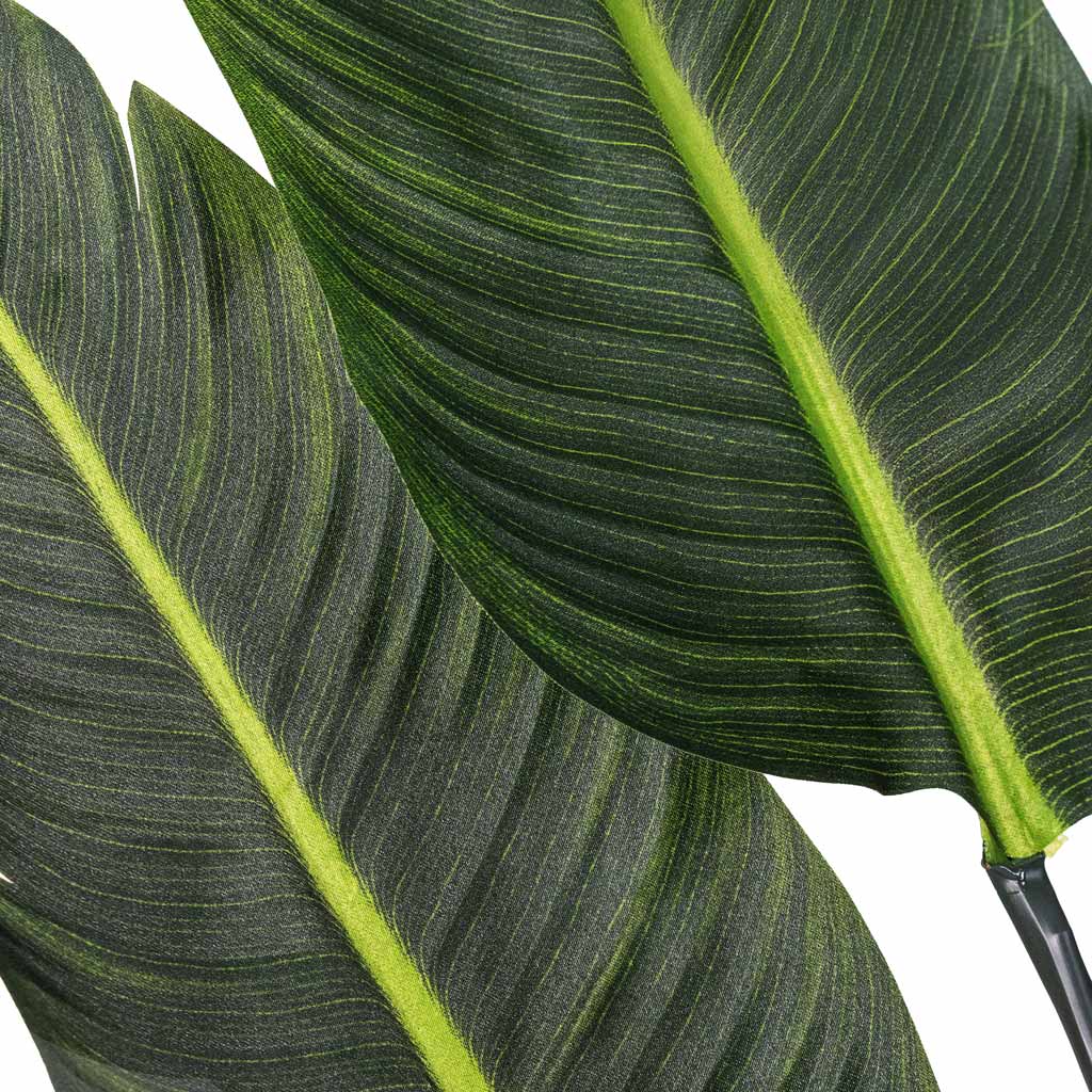 Strelitzia Flowering Bird of Paradise Artificial Close Up Of Leaves 