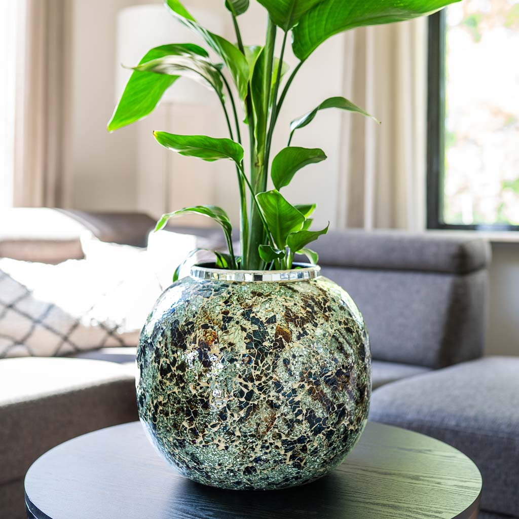 Strelitzia Nicolai In Mosaic Metal Pot Mirror
