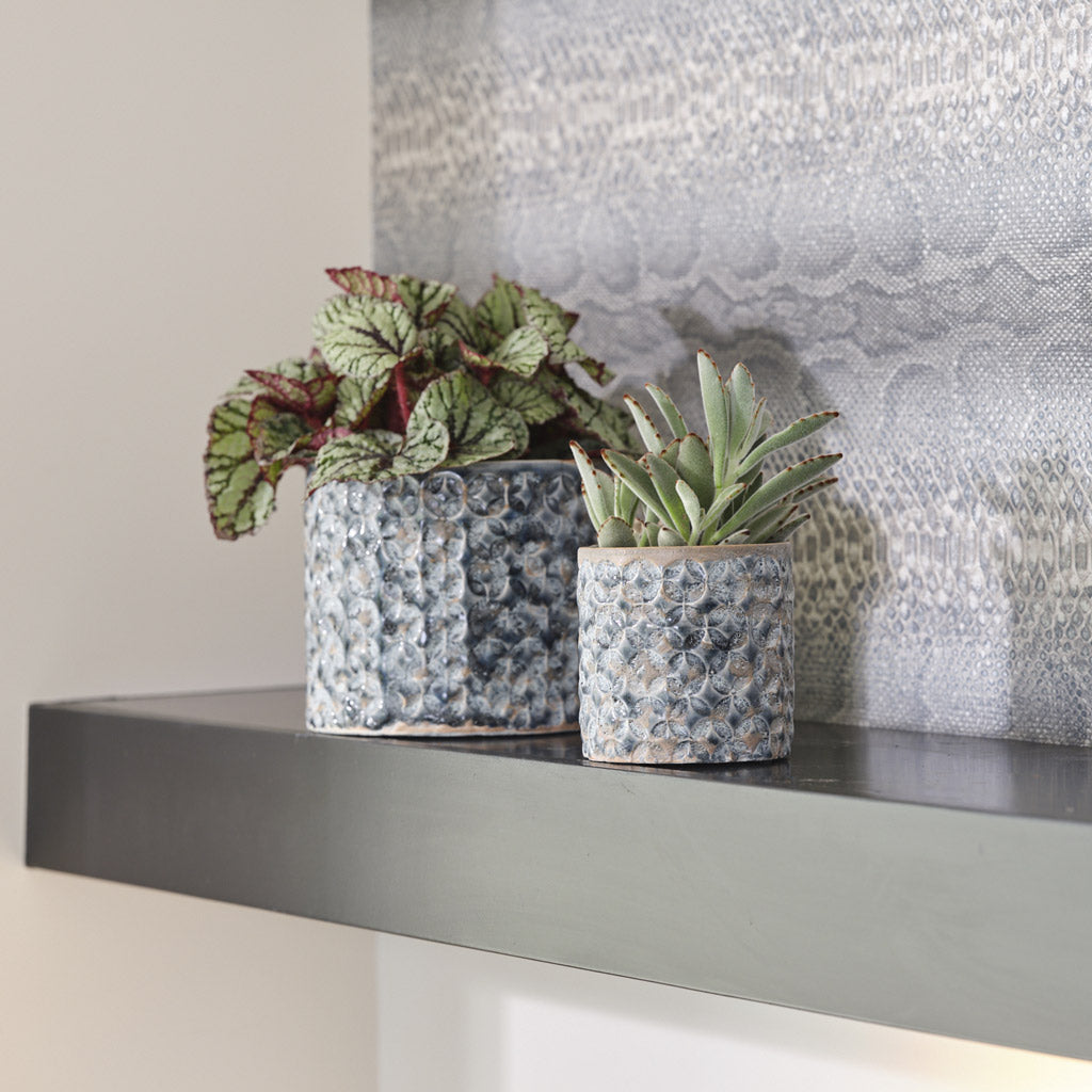 Terni Plant Pot Denim with Kalnchoe house plant 