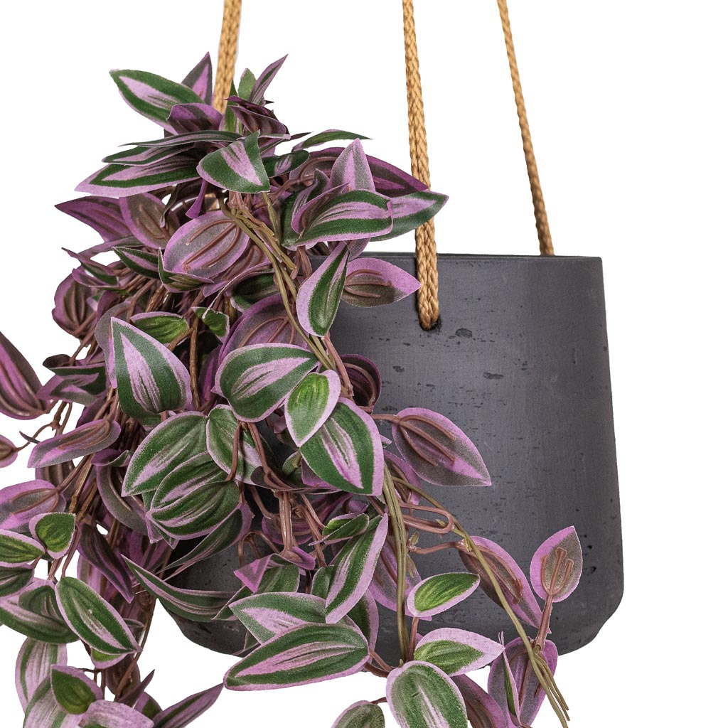 Tradescantia Hanging Bush Artificial In Patt Hanging Pot Black Washed Close Up