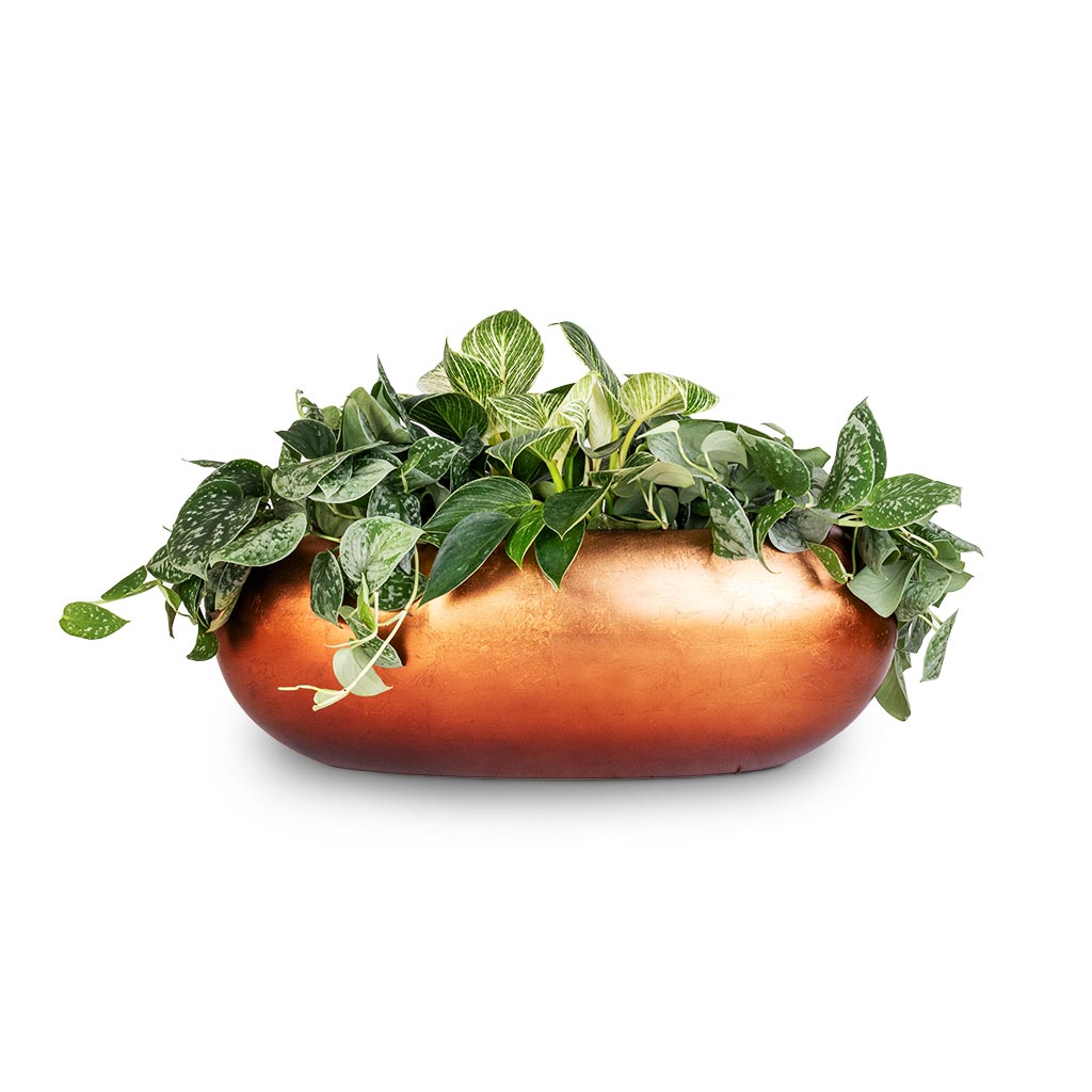 Metallic Boat Planter - Matt Copper