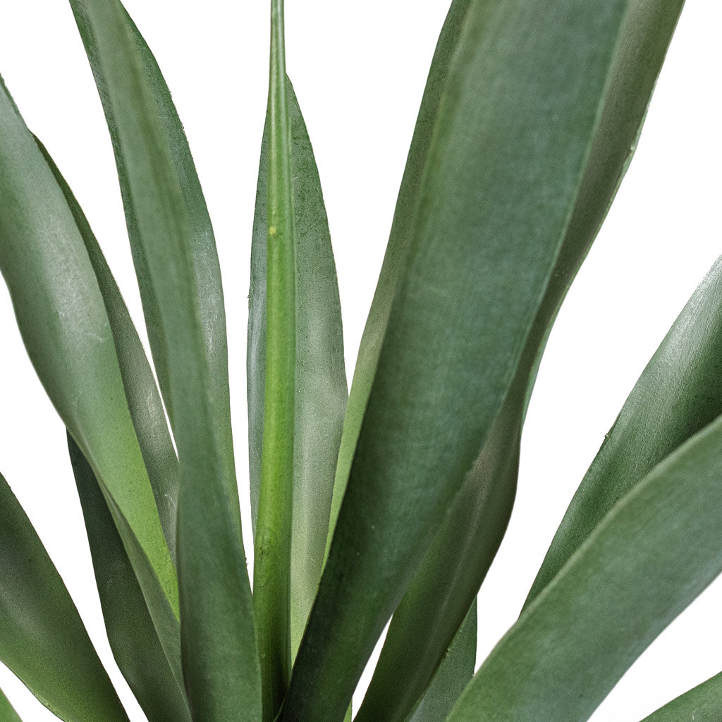 Yucca Artificial Leaf Close Up Of Leaf

