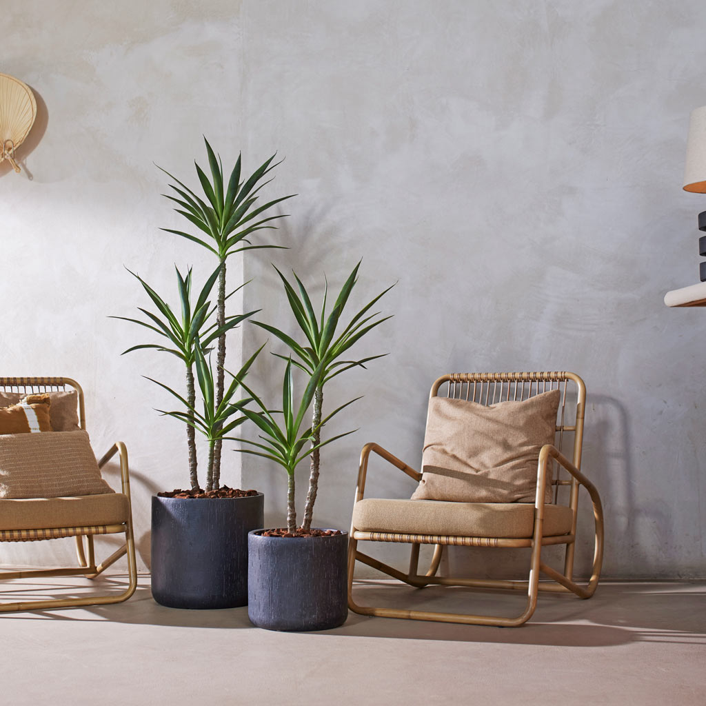 Yucca 3 Stem  Artificial In Baq Raindrop cylinder