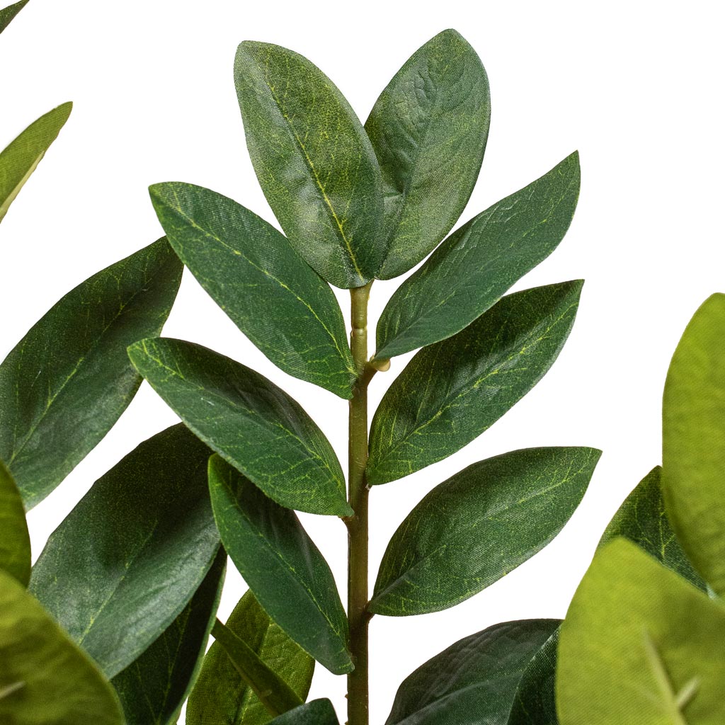Zamioculcas zamiifolia ZZ Artificial DETAIL 